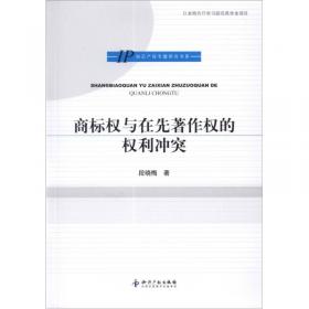 云南省江城县城子三寨传统村落保护与发展规划研究