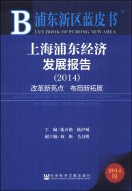 上海浦东经济发展报告2019高质量发展和高水平改革开放（2019版）/浦东新区蓝皮书