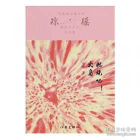 燃烧的岛群(上下)：宋宜昌二战军史小说系列