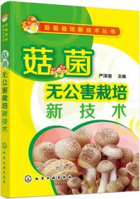 名贵珍稀菇菌栽培新技术丛书：小平菇 杨树菇 田头菇