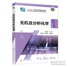 无机化工废渣污染特征与污染风险控制/固体废物处理与资源化技术进展丛书