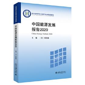 中国能源发展报告2021