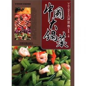 中国大锅菜：自助餐副食卷