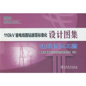 配电线路带电作业标准化作业指导（第二版）