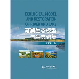 河湖水系连通生态模型、规划方法和工程实践