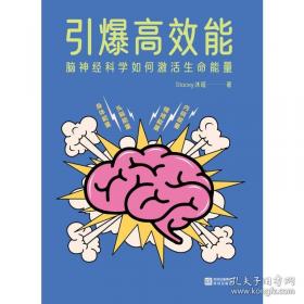 引爆控制原理/工业和信息化部“十二五”规划教材
