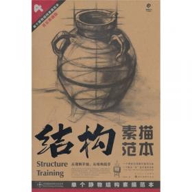 造型基础训练方法丛书·素描石膏像结构训练法：结构训练法（3）（黄金典藏版）