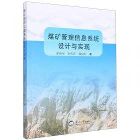 地理信息系统理论与应用丛书：地理信息科学基础理论