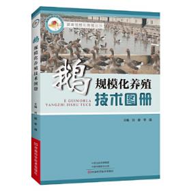 鹅规模化高效养殖关键技术