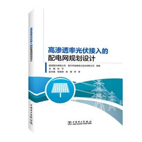 配电网建设全过程精益化管理手册