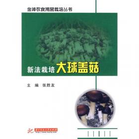 中国液体菌种生产新技术