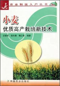 山东小麦良种良法配套技术