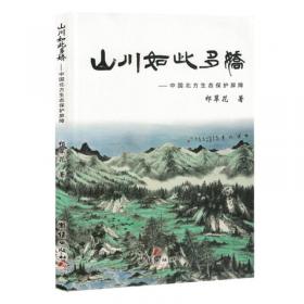 山川风光摄影——创意摄影丛书