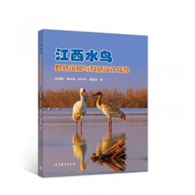 鄱阳湖及五河水系鸟类多样性及生态习性