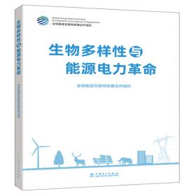 全球能源互联网应对气候变化研究报告（英文版）