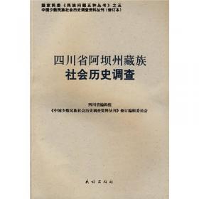 佤族社会历史调查1（修订本）