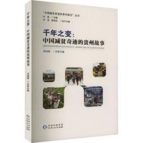 千年安宁 中国现当代文学 王大毅| 新华正版