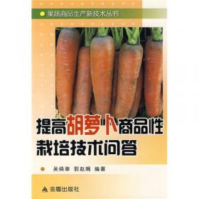 果蔬商品生产新技术丛书：提高甘薯商品性栽培技术问答