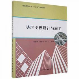 基坑工程设计方案技术论证与应急抢险应用研究