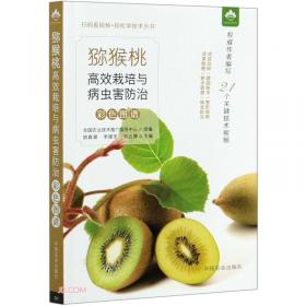 猕猴桃优质丰产 栽培与加工利用