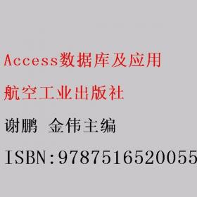 Access2007数据库管理从新手到高手