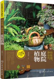 中国玉器通史. 清代卷. 