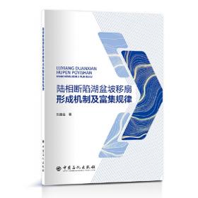 陆相页岩层系石油地质认识与关键技术进展(精)/中国致密油勘探开发理论与技术丛书