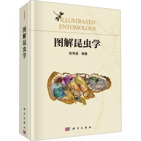 图解昆虫学 张传溪 