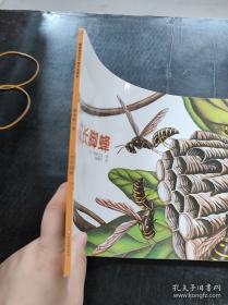 1亿人的摄影讲座：实战精通摄影构图