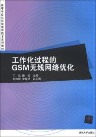 GSM-CDMA-LTE无线网络优化实践(丁远)