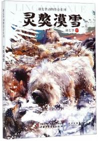 猎狗金虎/谢长华动物传奇系列