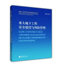 中国能源中长期（2030、2050）发展战略研究：电力·油气·核能·环境卷