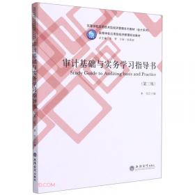 政府审计(第2版高等学校应用技术型经济管理系列教材)/会计系列