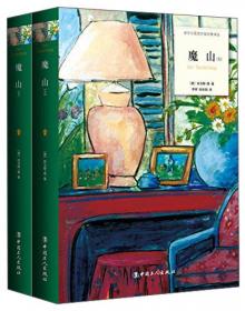 魔山：全二册（“二十世纪的歌德”，诺贝尔文学奖得主托马斯·曼代表作，欧洲文学的历史地标，哈佛大学推荐50本应读经典之一。）