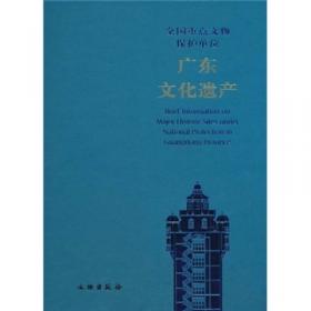 广东文化遗产：塔幢卷