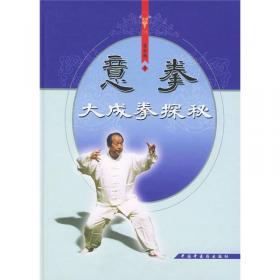 意拳索论：意拳（大成拳）进阶与点窍