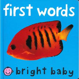 Bright Futures: Guidelines for Health Supervision of Infants, Children, and Adolescents