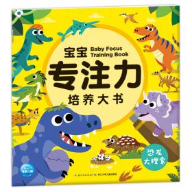 3-6岁宝宝专注力培养大书（套装全4册）