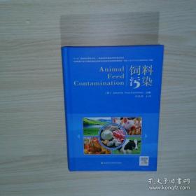 繁荣如初的河道