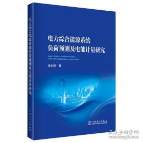 电力企业利用外资