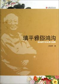 20世纪中国通俗文学史