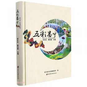 五彩校园文化艺术活动丛书：校园文化艺术活动策划指导手册