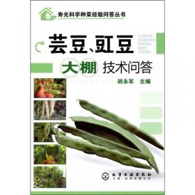 寿光菜农日光温室菜豆高效栽培
