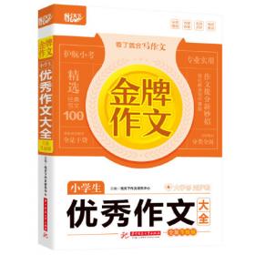 金牌语文(奇趣汉语)/中国少年儿童智力挑战全书