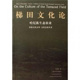 自然与人文的交响诗：三江并流·行走中国