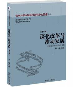 未来的增长中国经济的前景与挑战 “十四五”推荐阅读经济书籍卢锋著