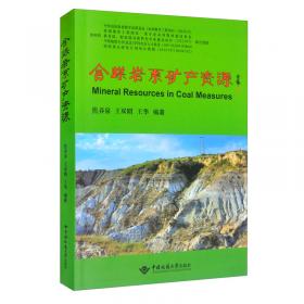 铀储层非均质性地质建模--揭示鄂尔多斯盆地直罗组铀成矿机理和提高采收率的沉积学基础(精)/中国北