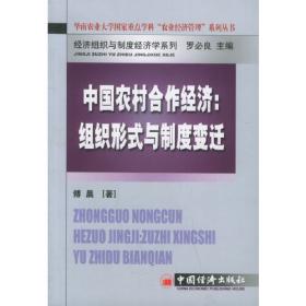 广东城市化发展战略——科学发展观与广东现代化建设研究丛书