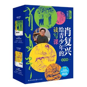 肖复兴散文自选集