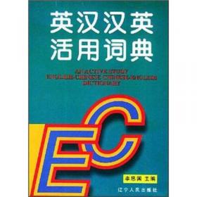 现代美式英汉词典